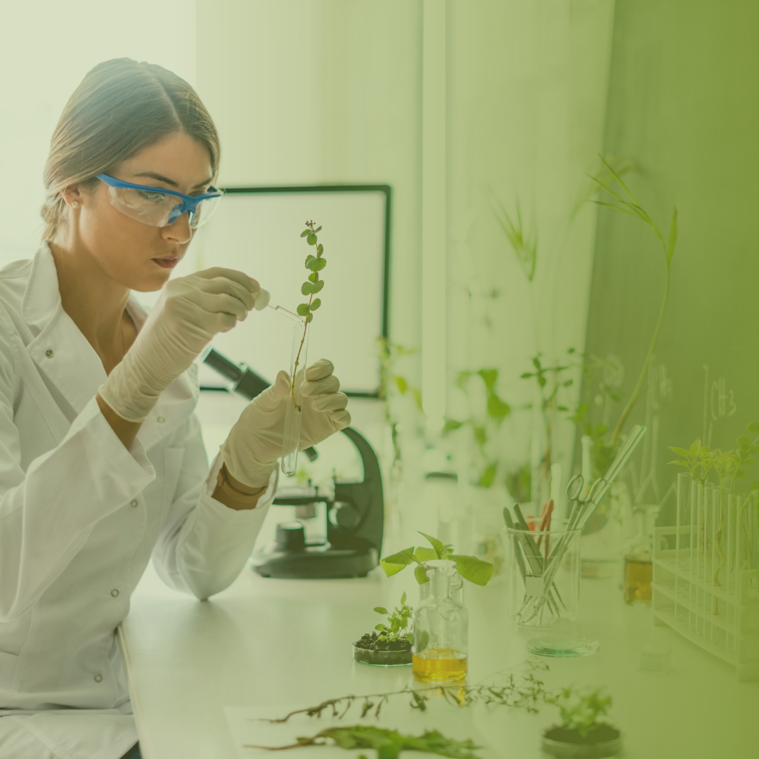 البيوتكنولوجيا الزراعية