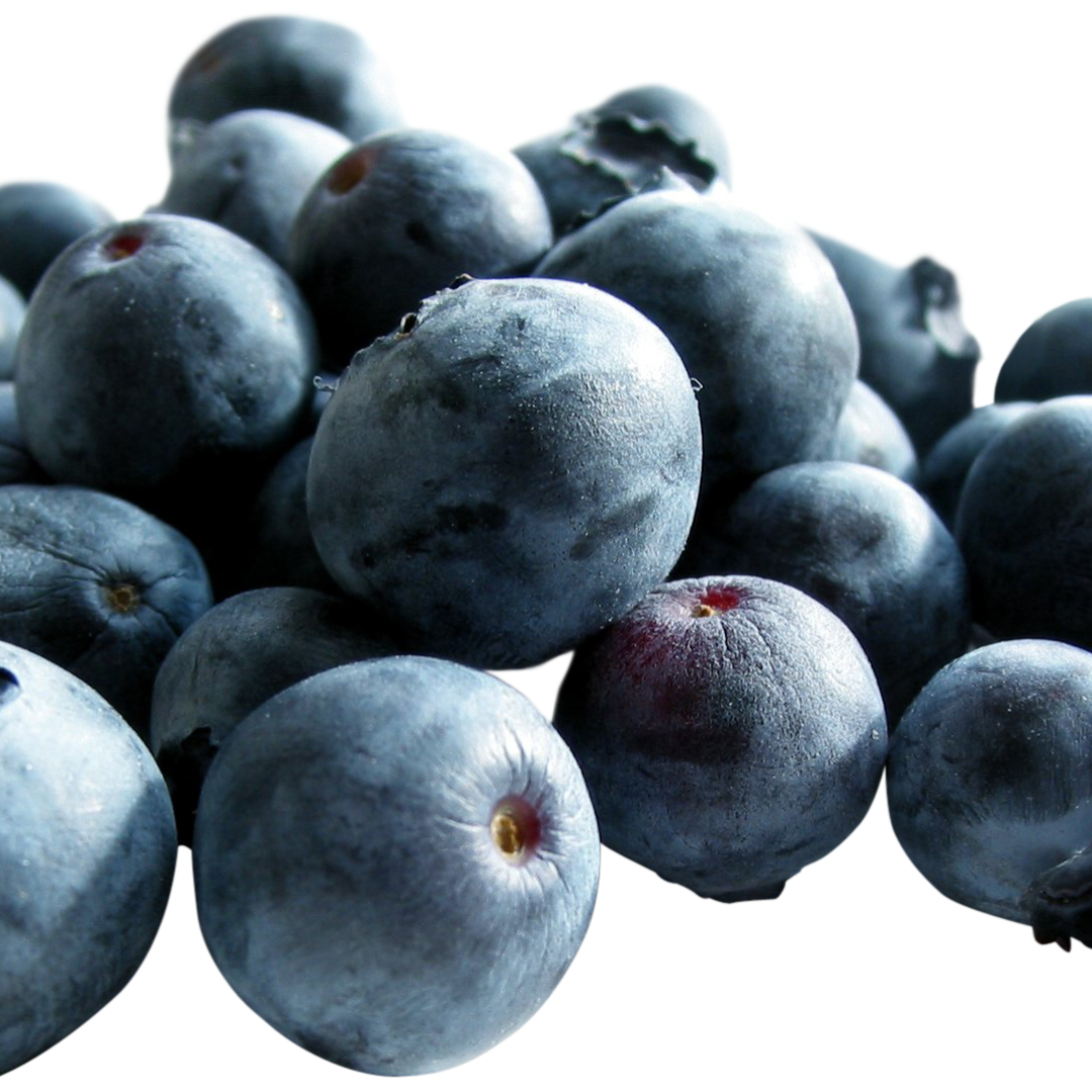 التوت الأزرق و فوائده