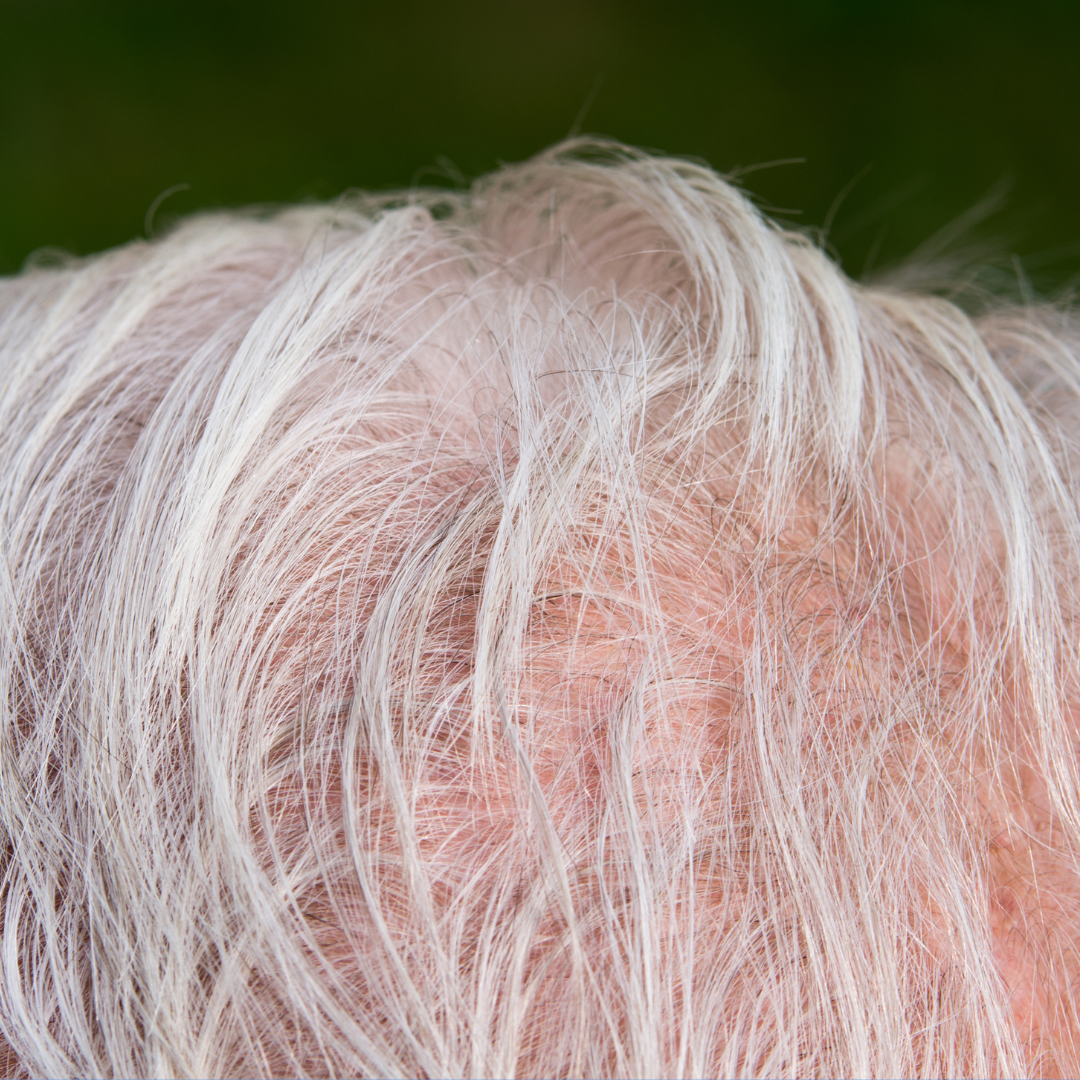 الشعر الخفيف و كيفية العناية به